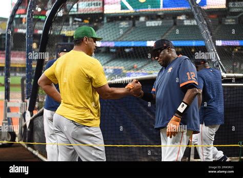 quality control coach mlb